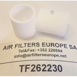 ELEMENT FILTRANT RS170241 