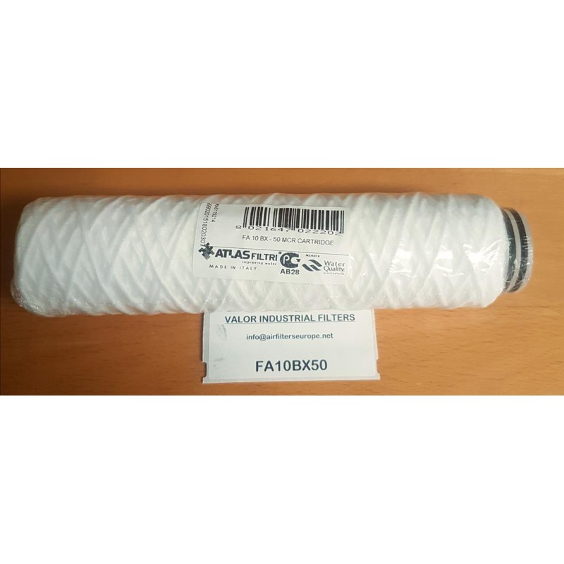 CARTOUCHE ATLAS FILTRI BX 10' - 50µ 
