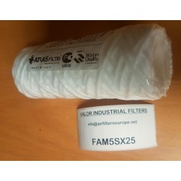 CARTOUCHE ATLAS FILTRI FA SX 25µ 