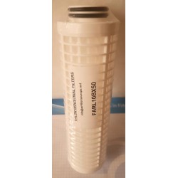 CARTOUCHE FILTRANTE BX10' - 50µm  