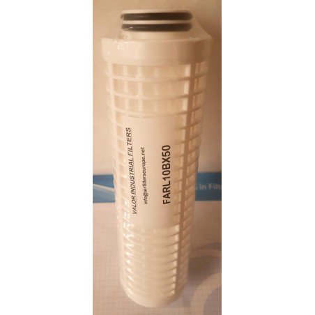 CARTOUCHE FILTRANTE BX10' - 50µm  