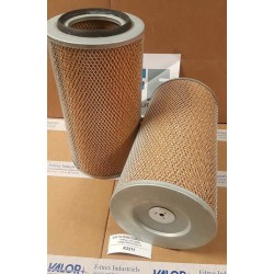 FILTRE A AIR C20325/2  