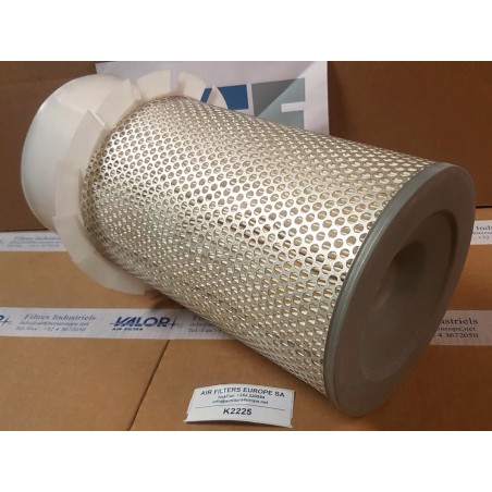 FILTRE A AIR  C21431 