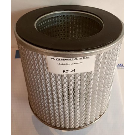 FILTRE A AIR 248X240MM 