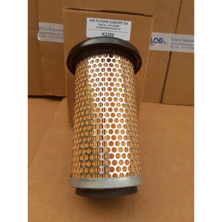 FILTRE A AIR C1176 