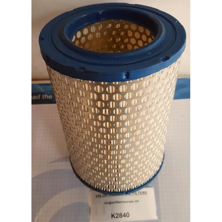 FILTRE A AIR C1369 