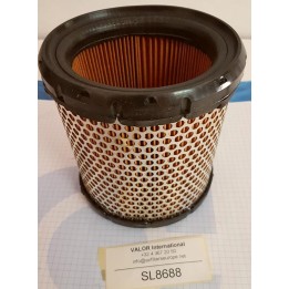 FILTRE A AIR C1460 