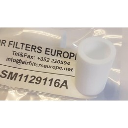 ELEMENT FILTRANT AF20P060S 