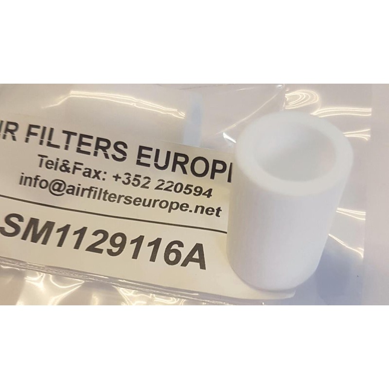 ELEMENT FILTRANT AF20P060S 