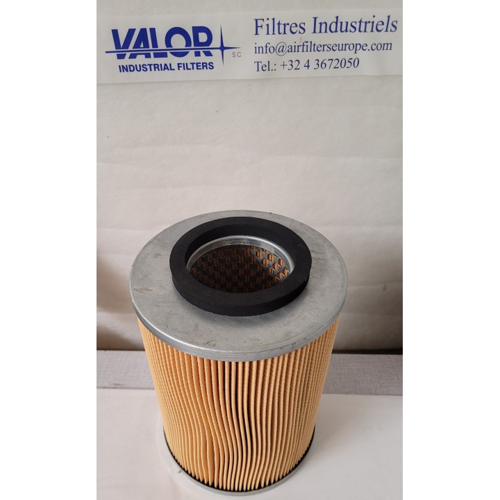 CART.FILTRANTE GS4551