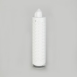 FILTRE HYDROPHOBIC 10'' PTFE 0.2µ
