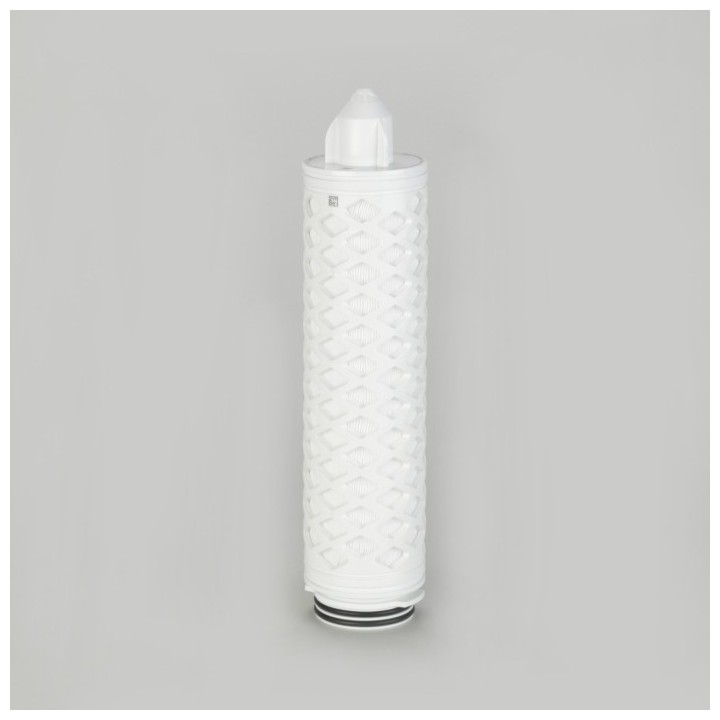 FILTRE HYDROPHOBIC 10'' PTFE 0.2µ