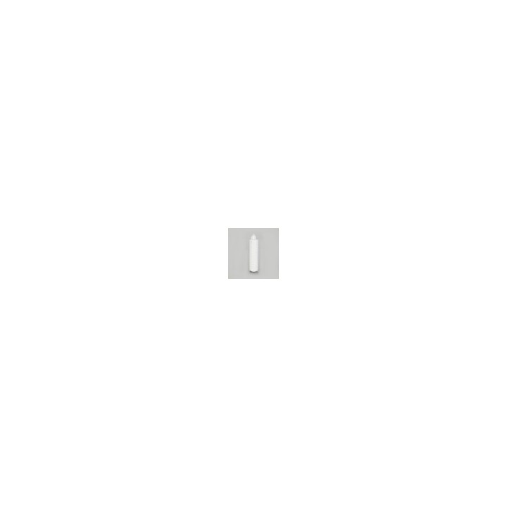 FILTRE LIFETEC PP100N 10' 1µ