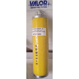 ELEMENT FILTRANT C12EPO
