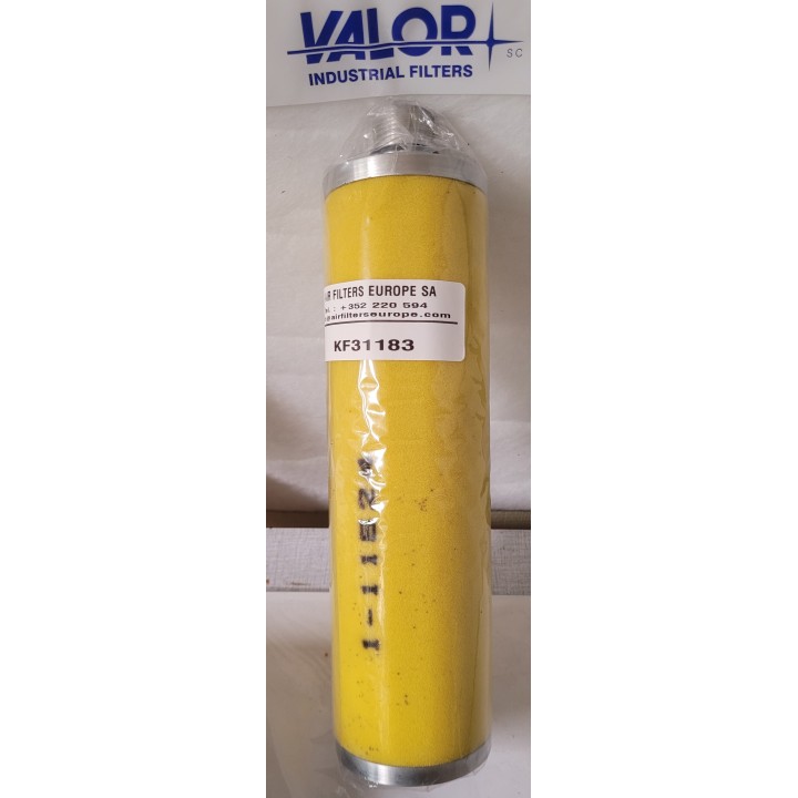 ELEMENT FILTRANT C12EPO