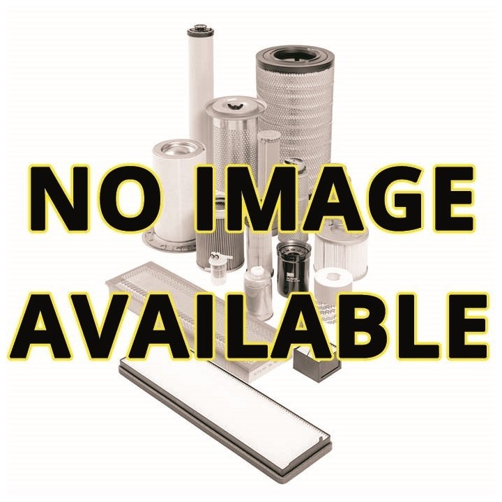ELEMENT FILTRANT PE 0305