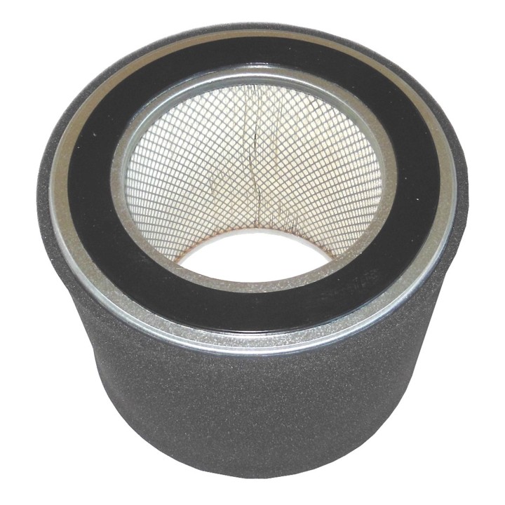 FILTRE A AIR POUR SOLBERG 245P