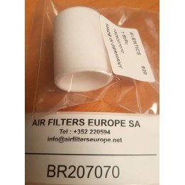 ELEMENT FILTRANT 1829207070 